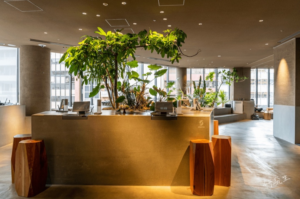 飯店櫃檯,檯面上方是一大盆綠色植栽