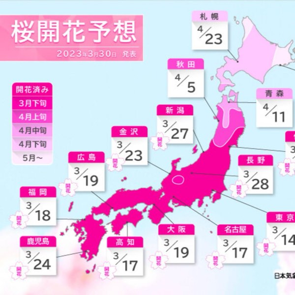 2023年賞櫻大作戰:揭秘櫻花前線的神秘面紗!