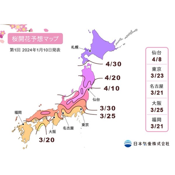 2024櫻花前線開跑!櫻花休眠打破了嗎?