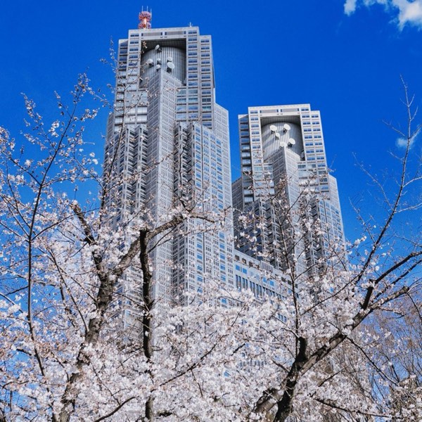 櫻花季來襲!揭秘東京賞櫻TOP5,與東京鐵塔、晴空塔共賞花海!