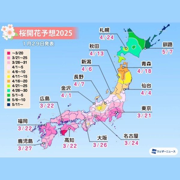 2025日本櫻花預測出爐!東京、京都、北海道開花時間大公開!