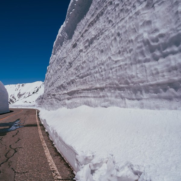 黑部立山開山特輯!一生必看的20公尺雪壁,探索經典立山黑部之旅!